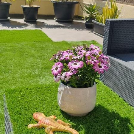 La Zenia Sabrina Apartment 5 Orihuela Buitenkant foto